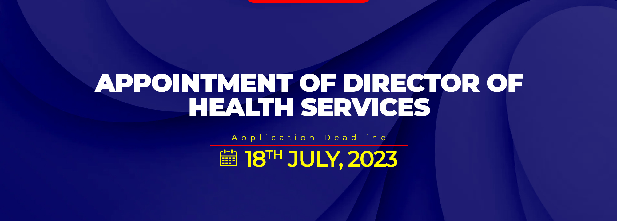 Appointment of Director of Health Services