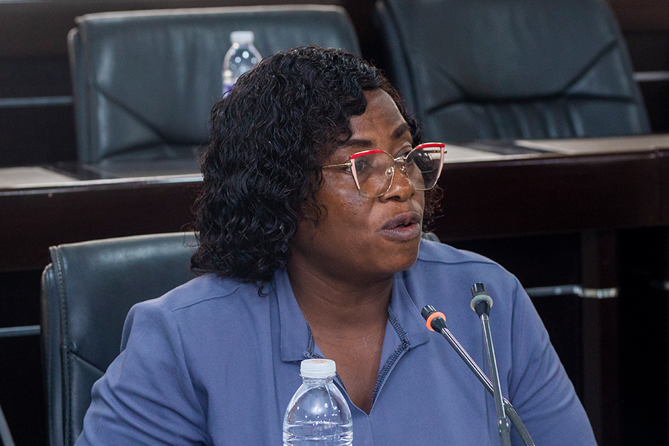 Prof. Lucy Effeh Attom