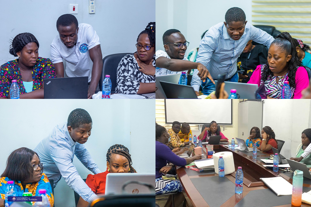 A picture illustrating the various hands-on activities undertaken by the participants