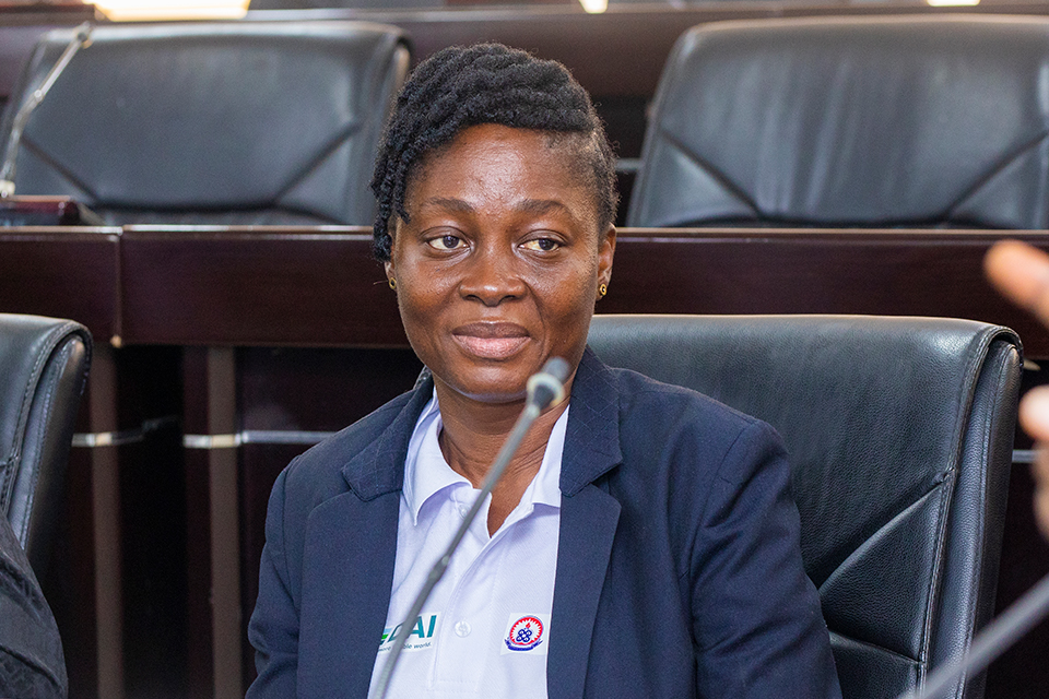 Prof. Adjoa Afriyie Poku, Head of the Department of Geography Education