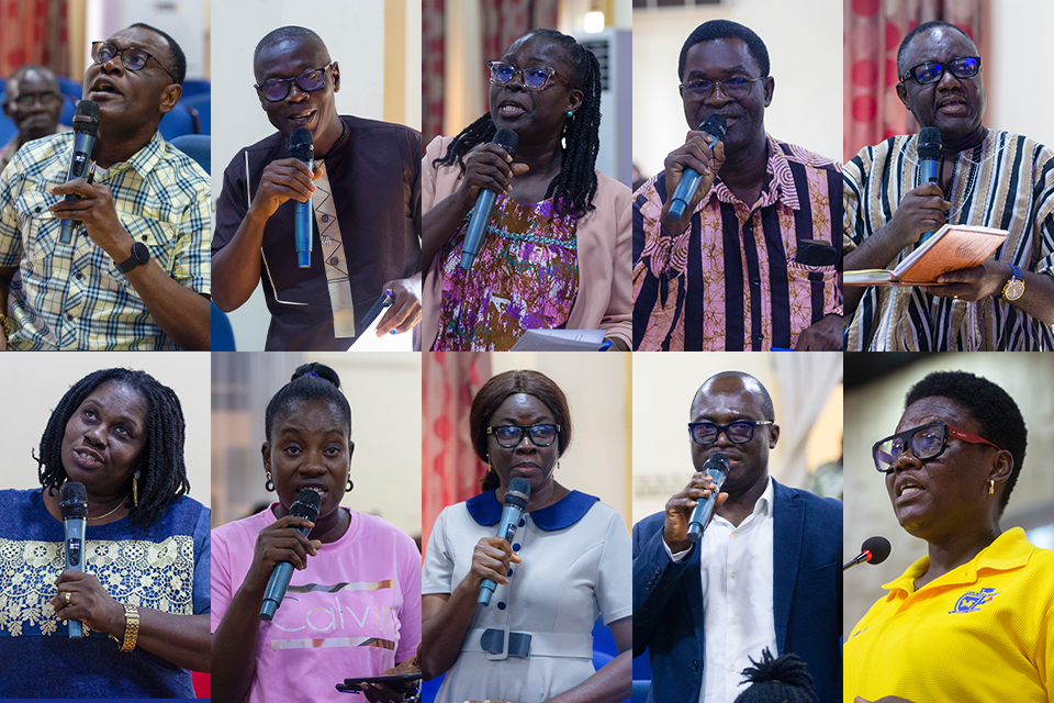 A sample of faculty members who provided insightful suggestions to the committee