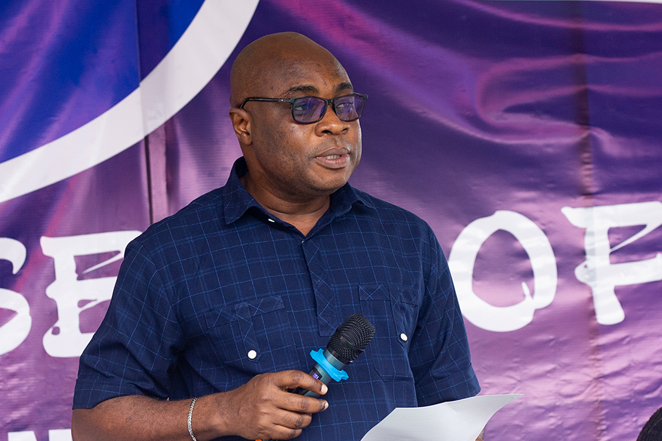 Prof. Stephen Jobson Mitchual