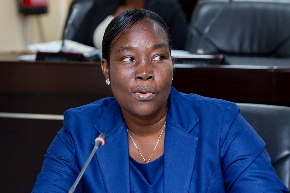 Mrs. Ekua Abedi-Boafo