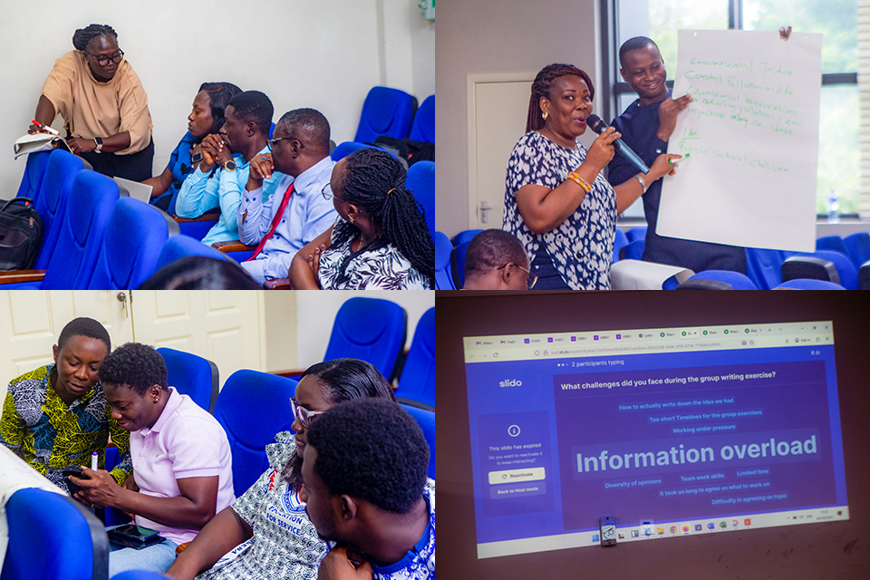 An image illustrating the diverse practical activities undertaken by the participants