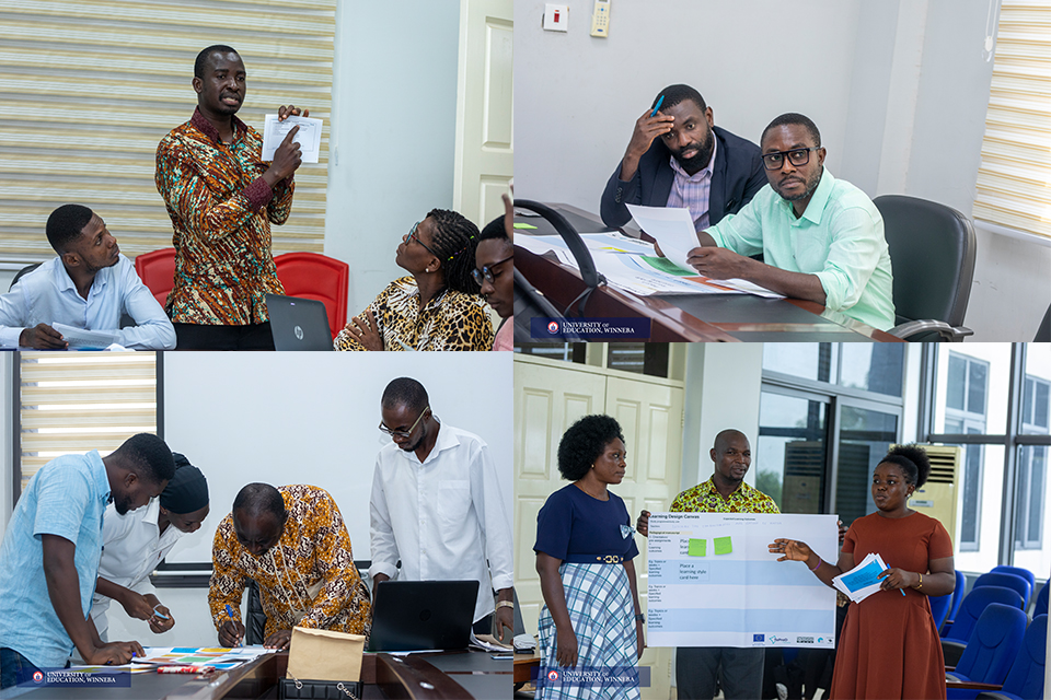 An image illustrating the diverse group activities undertaken by participants