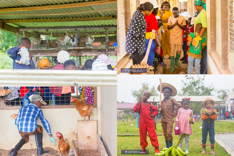 A photo illustration of various explorations by the pupils