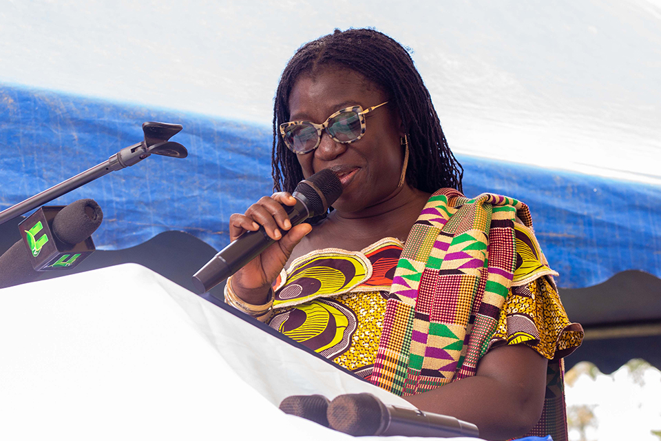 Prof. Rebecca Akpanglo-Nartey