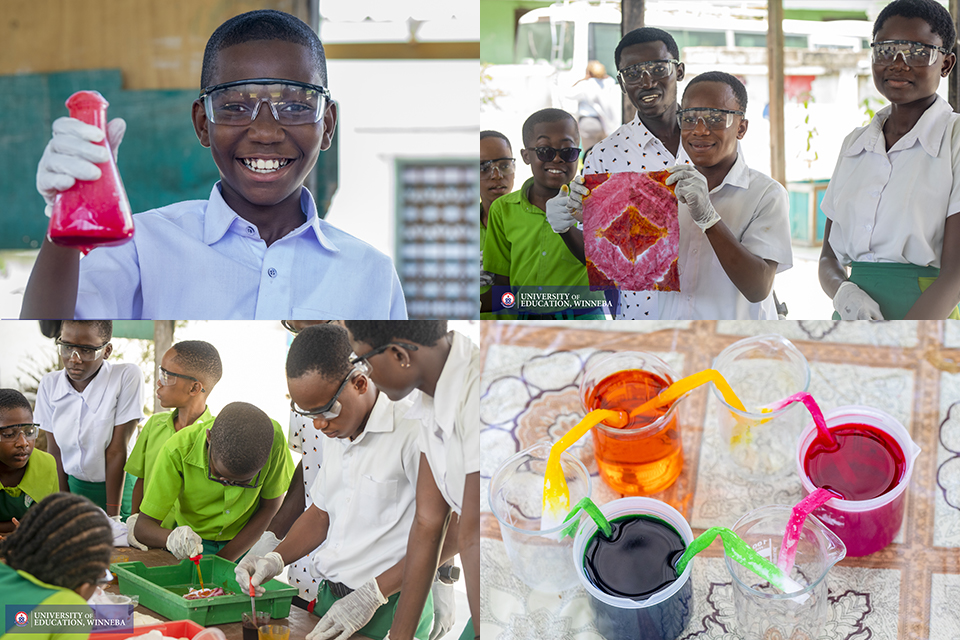 A composite image showcasing the hands-on activities conducted during the festival